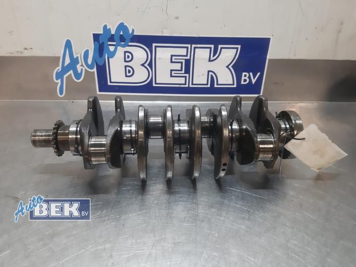 Gebruikte Krukas Fiat Doblo Cargo (263) 1.3 D Multijet Prijs op aanvraag aangeboden door Auto Bek