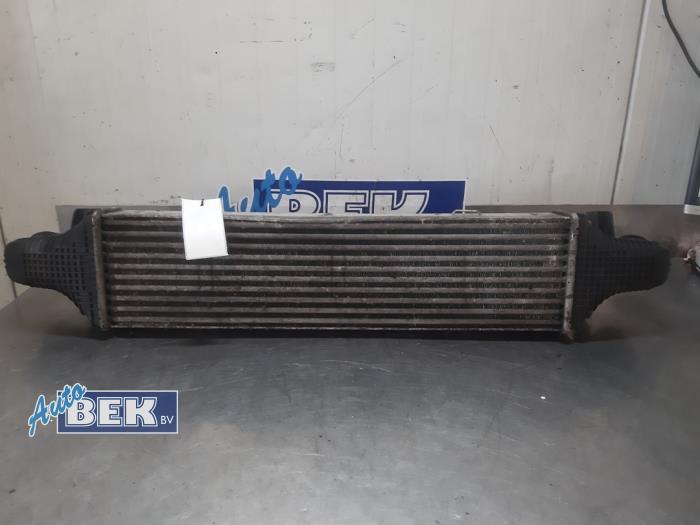 Gebruikte Intercooler Mercedes E Estate (S212) E-220 CDI 16V BlueEfficiency Prijs € 49,99 Margeregeling aangeboden door Auto Bek