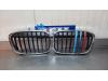 BMW X1 (F48) xDrive 18d 2.0 16V Grille