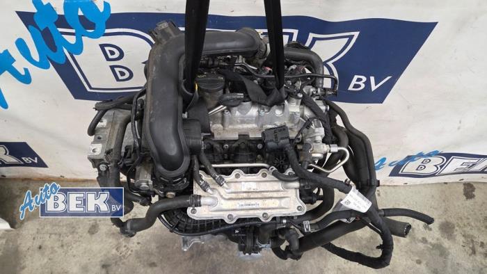 Gebruikte Motor Volkswagen Polo VI (AW1) 1.0 TSI 12V Prijs € 590,00 Margeregeling aangeboden door Auto Bek