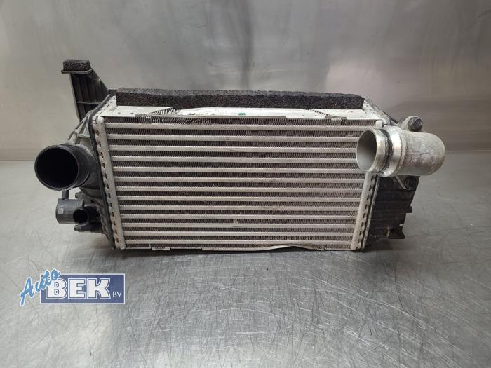Gebruikte Intercooler Hyundai Tucson (NX) 1.6 T-GDI Hybrid 48V Prijs € 149,99 Margeregeling aangeboden door Auto Bek
