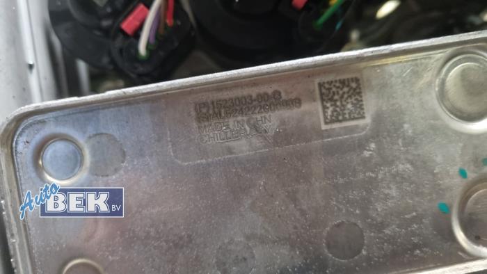 HV-koelvloeistofverwarming van een Tesla Model Y (5YJY) Long Range RWD 2024