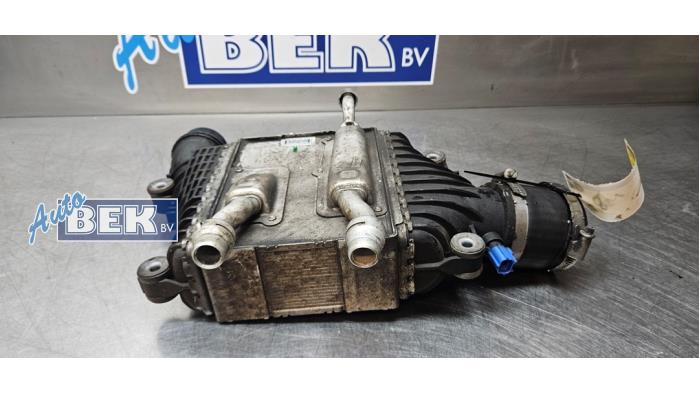 Gebruikte Intercooler Jaguar F-Pace 2.0 D 180 16V AWD Prijs € 35,00 Margeregeling aangeboden door Auto Bek
