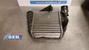 Gebruikte Intercooler Volkswagen Polo IV (9N1/2/3) 1.4 TDI 75 Prijs € 60,00 Margeregeling aangeboden door Auto Bek