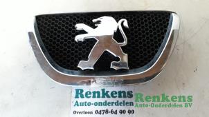 Gebruikte Grille Peugeot 107 1.0 12V Prijs € 20,00 Margeregeling aangeboden door Renkens Auto-Onderdelen B.V.