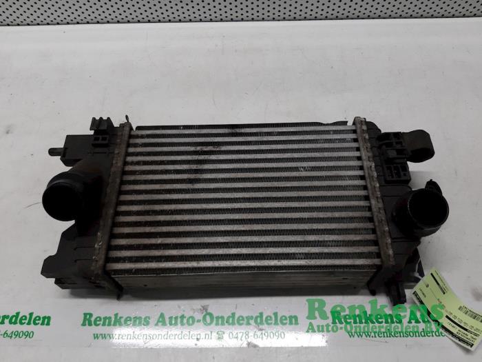 Gebruikte Intercooler Opel Meriva (B) 1.4 Turbo 16V ecoFLEX Prijs € 50,00 Margeregeling aangeboden door Renkens Auto-Onderdelen B.V.