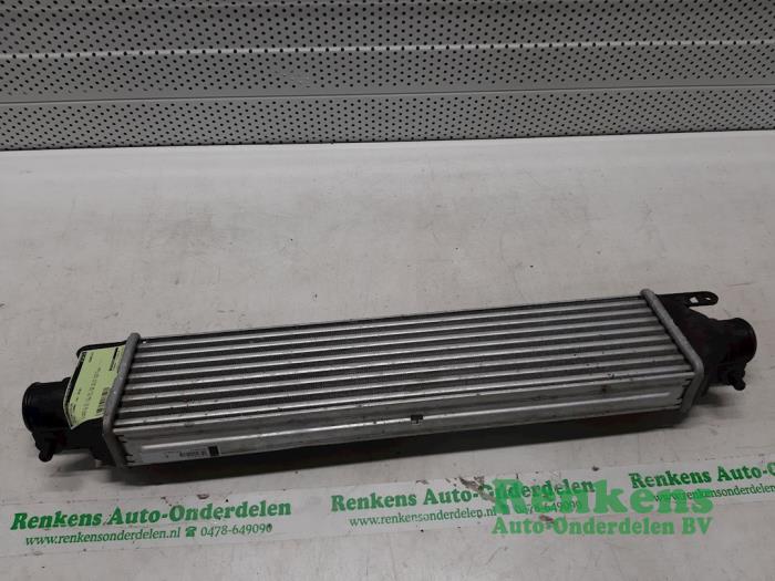Gebruikte Intercooler Opel Combo 1.6 CDTI 16V Prijs € 50,00 Margeregeling aangeboden door Renkens Auto-Onderdelen B.V.