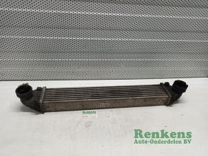Gebruikte Intercooler Mercedes A (W169) 2.0 A-160 CDI 16V 3-Drs. Prijs € 40,00 Margeregeling aangeboden door Renkens Auto-Onderdelen B.V.