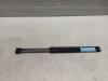 Ford Focus 3 Wagon 1.0 Ti-VCT EcoBoost 12V 125 Gasdemperset Achterklep