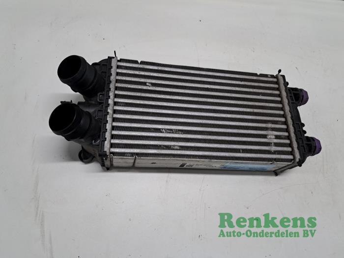 Gebruikte Intercooler Opel Corsa F (UB/UH/UP) 1.2 Turbo 12V 100 Prijs € 50,00 Margeregeling aangeboden door Renkens Auto-Onderdelen B.V.