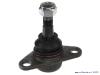 Steering knuckle ball joint - aae89bb9-8f0d-4767-881e-8a9a69947f6d.jpg