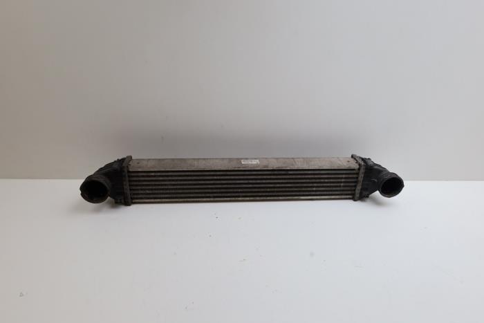 Gebruikte Intercooler Mercedes B (W245) 2.0 B-200 16V Turbo Prijs € 35,00 Margeregeling aangeboden door Auto Demontage Elferink B.V.