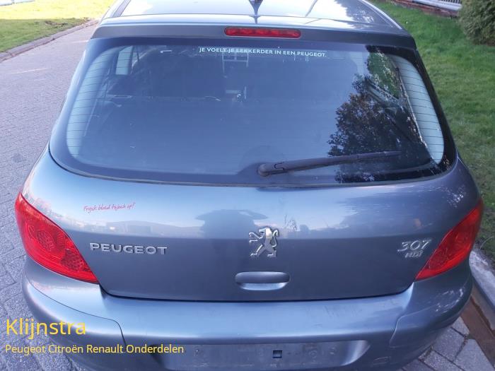 Achterklep van een Peugeot 307 (3A/C/D) 1.6 HDi 16V 2006