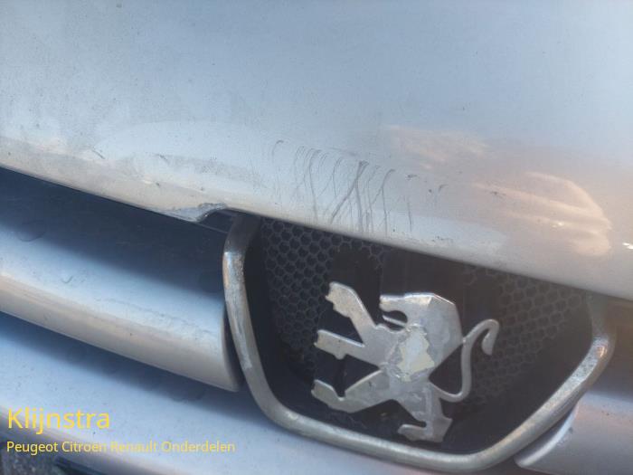 Motorkap van een Peugeot 206 (2A/C/H/J/S) 1.4 XR,XS,XT,Gentry 2005