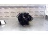 Gebruikte Alternator Opel Movano O124064