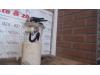 Gebruikte Tank element Pomp Peugeot 206 O120877