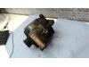 Gebruikte Dynamo Opel Sintra O123975