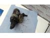 Gebruikte Startmotor Subaru Impreza O128334