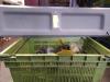 Gebruikte Hoedenplank Kia Picanto O133074