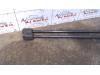 Gebruikte Gasdemperset Achterklep Volkswagen Polo O91332
