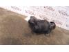 Gebruikte EGR Klep Volkswagen Caddy O120048