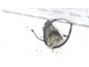 Gebruikte Deurslot Mechaniek 2Deurs links Citroen C2 O82484