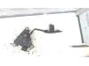 Gebruikte Gaspedaal Nissan Micra O110415