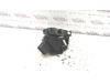 Gebruikte Portierslot Mechaniek 4Deurs links-achter Ford Mondeo O83289