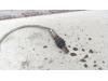 Gebruikte Lambda Sonde Fiat Panda O129043