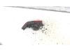 Gebruikte Bumper reflector rechts-achter Opel Meriva O91231