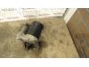 Gebruikte Startmotor Renault Twingo O128508