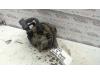 Gebruikte Dynamo Honda Civic O124525