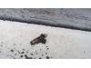 Gebruikte Injector (benzine injectie) Citroen C2 O121570