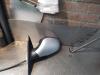 Gebruikte Spiegel Buiten links Seat Ibiza O143377