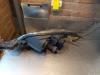 Gebruikte Koplamp rechts Mazda 3. O145150