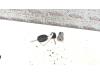 Gebruikte Kontaktslot+Sleutel Ford Focus O149166