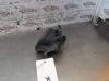 Gebruikte Mistlamp links-voor Renault Clio O151963