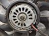 Gebruikte Koelvin Motor Volkswagen Golf O154720