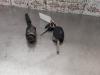 Gebruikte Portierslot Cilinder links Ford C-Max O161879