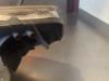 Gebruikte Koplamp rechts Peugeot 308 O166040