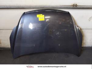 O168092 Gebruikte motorkap Ford Focus