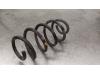 Gebruikte Veerschroef achter Ford Transit Connect O168322