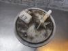 Gebruikte Brandstofpomp Elektrisch Nissan Primera O168754