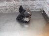 Gebruikte ABS Pomp Chevrolet Aveo O169768