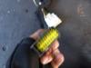 Gebruikte Achterklep Citroen C5 O170204