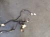 Gebruikte Deur 4Deurs links-voor Citroen C5 O170223