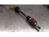 Gebruikte Cardanas links-voor (VWA) Renault Scenic O170272