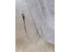 Gebruikte Hoedenplank Fiat Punto Grande O170428