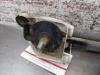 Gebruikte Ruitenwismotor+Mechaniek Nissan Micra O170527