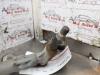Gebruikte Ruitenwismotor+Mechaniek Citroen C3 O170668